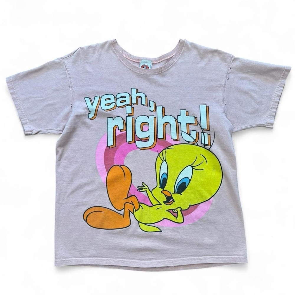 Vintage 1997 Looney Tunes Tweety Bird Pink Graphic T-shirt No Tag 21.5x26